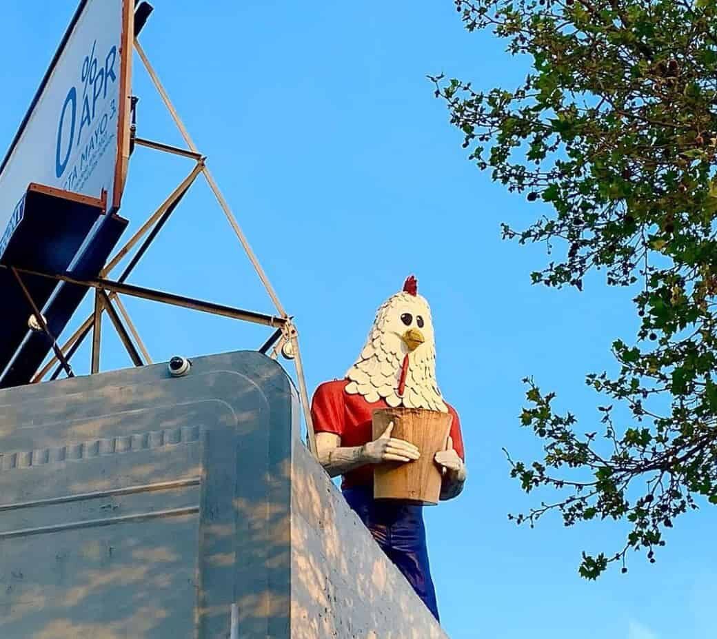 Hello, Chicken Boy